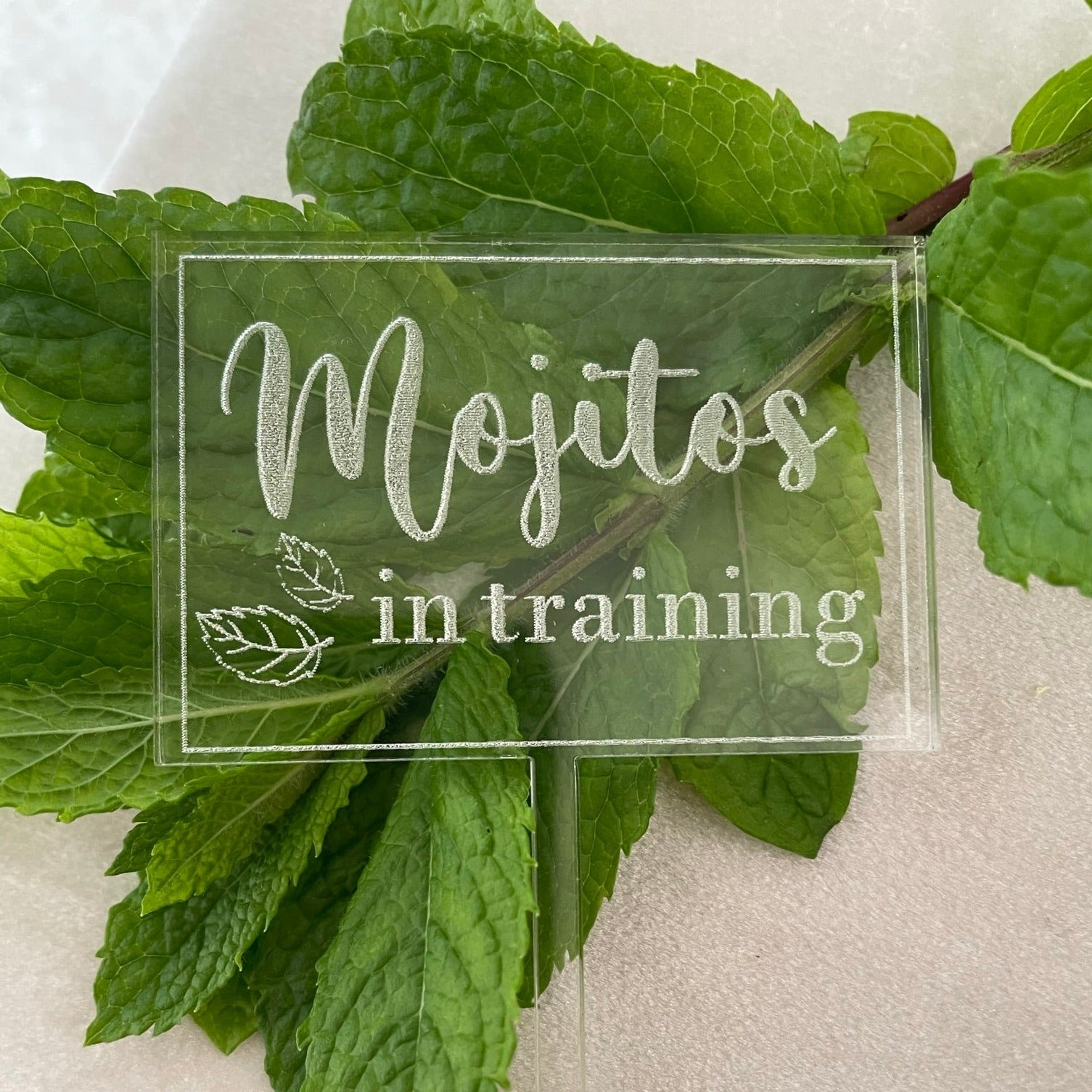 Skylt för myntaplantan - Mojitos in training - Akryl - cottonandwood.se