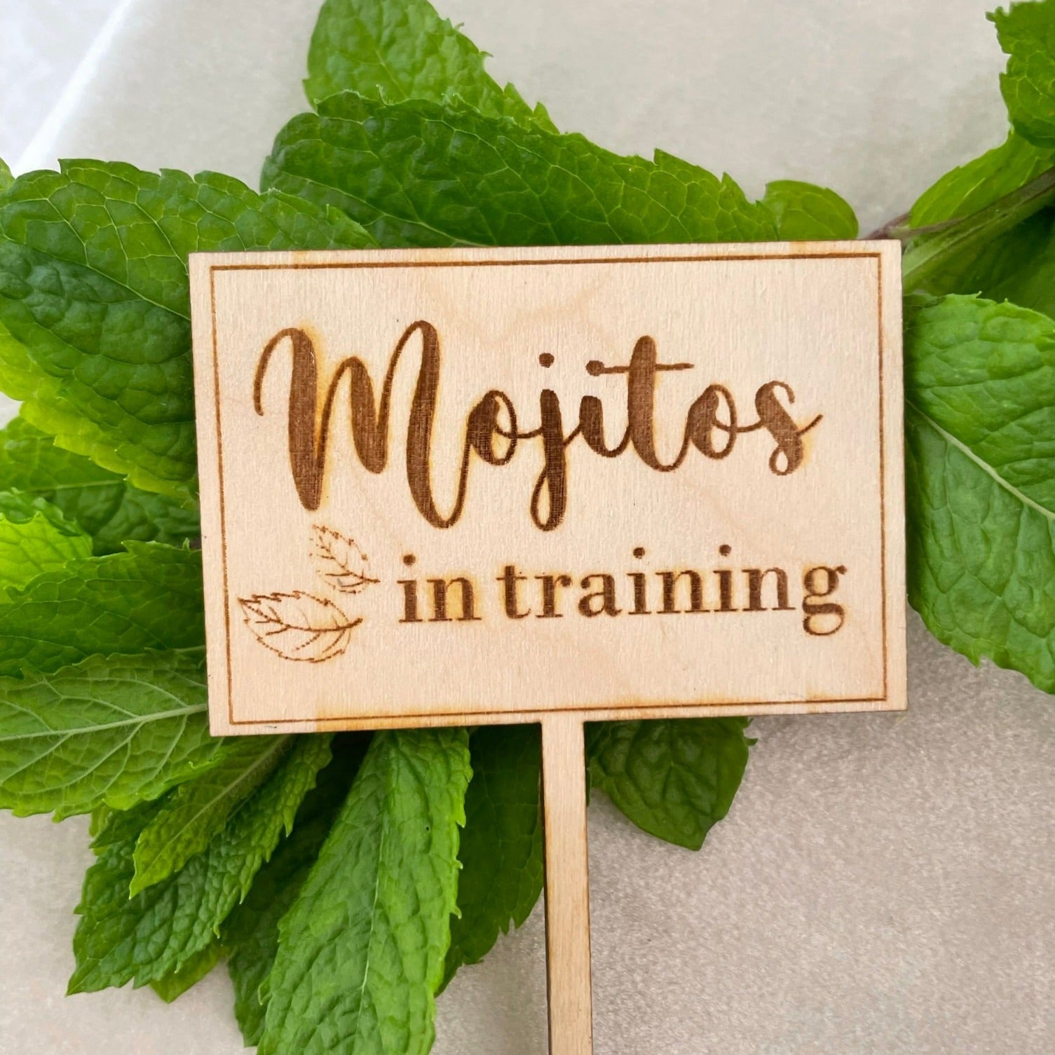 Skylt för myntaplantan - Mojitos in training - Trä - cottonandwood.se