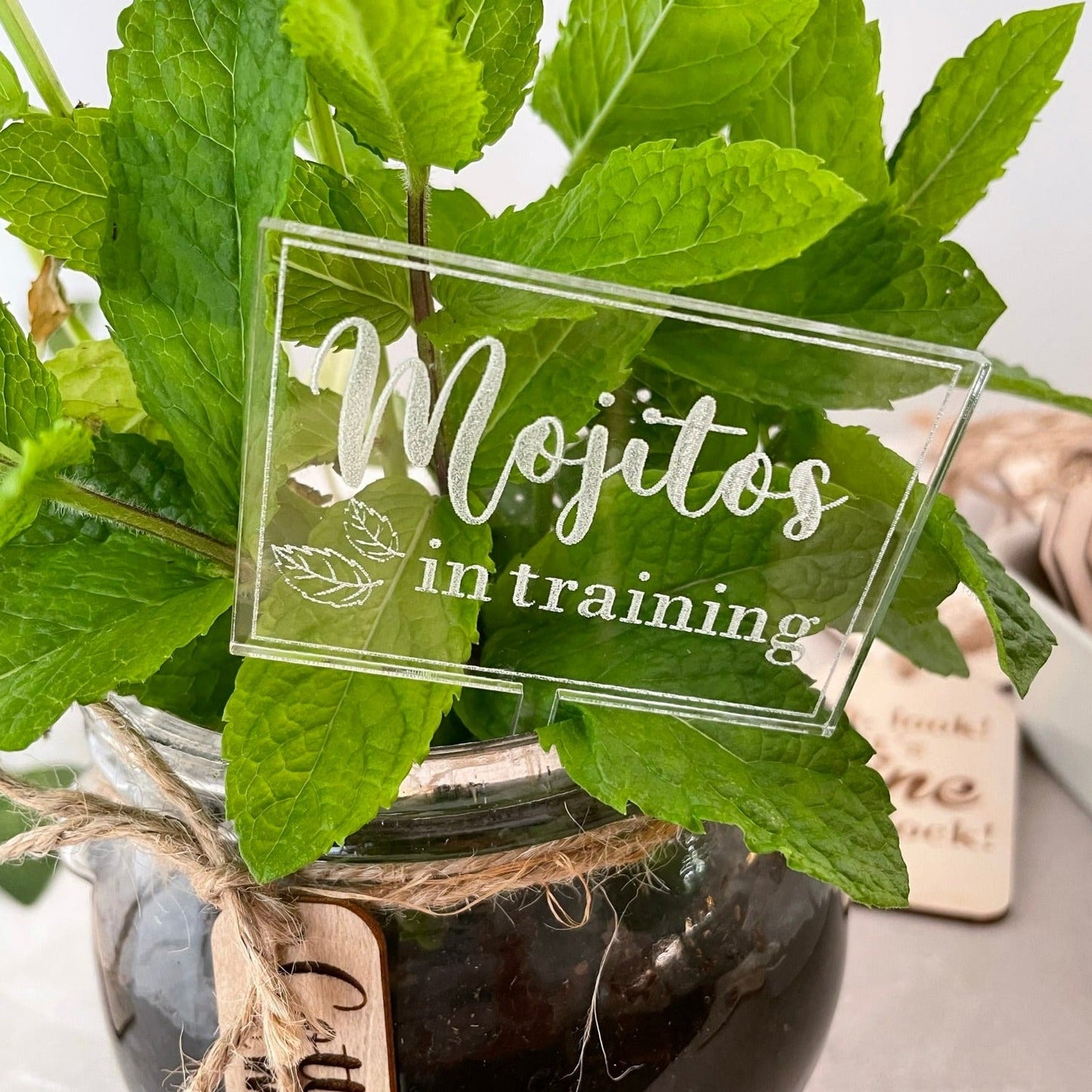 Skylt för myntaplantan - Mojitos in training - Trä - cottonandwood.se