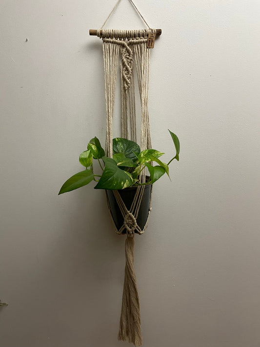 Väggampel - handknuten makramé "Tulipa" - Beige - cottonandwood.se